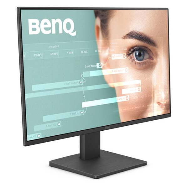 BenQ GW2491 23.8 Inch FHD Eye-Care Monitor (Black)