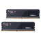 G Skill Flare X5 32GB (16GBx2) DDR5 6000MHz CL3038 DDR5 RAM (F5-6000J3038F16GX2-FX5)