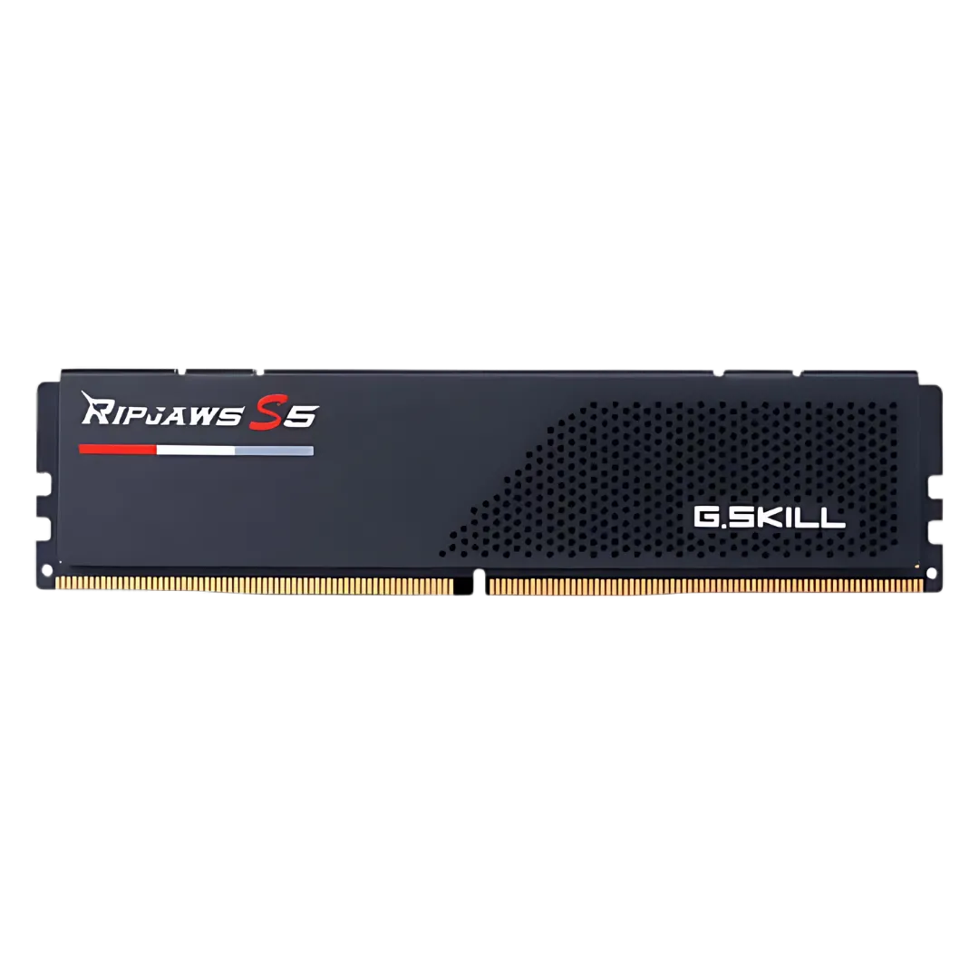 G.Skill Ripjaws S5 24GB (24GBx1) DDR5 5200MHz Desktop RAM