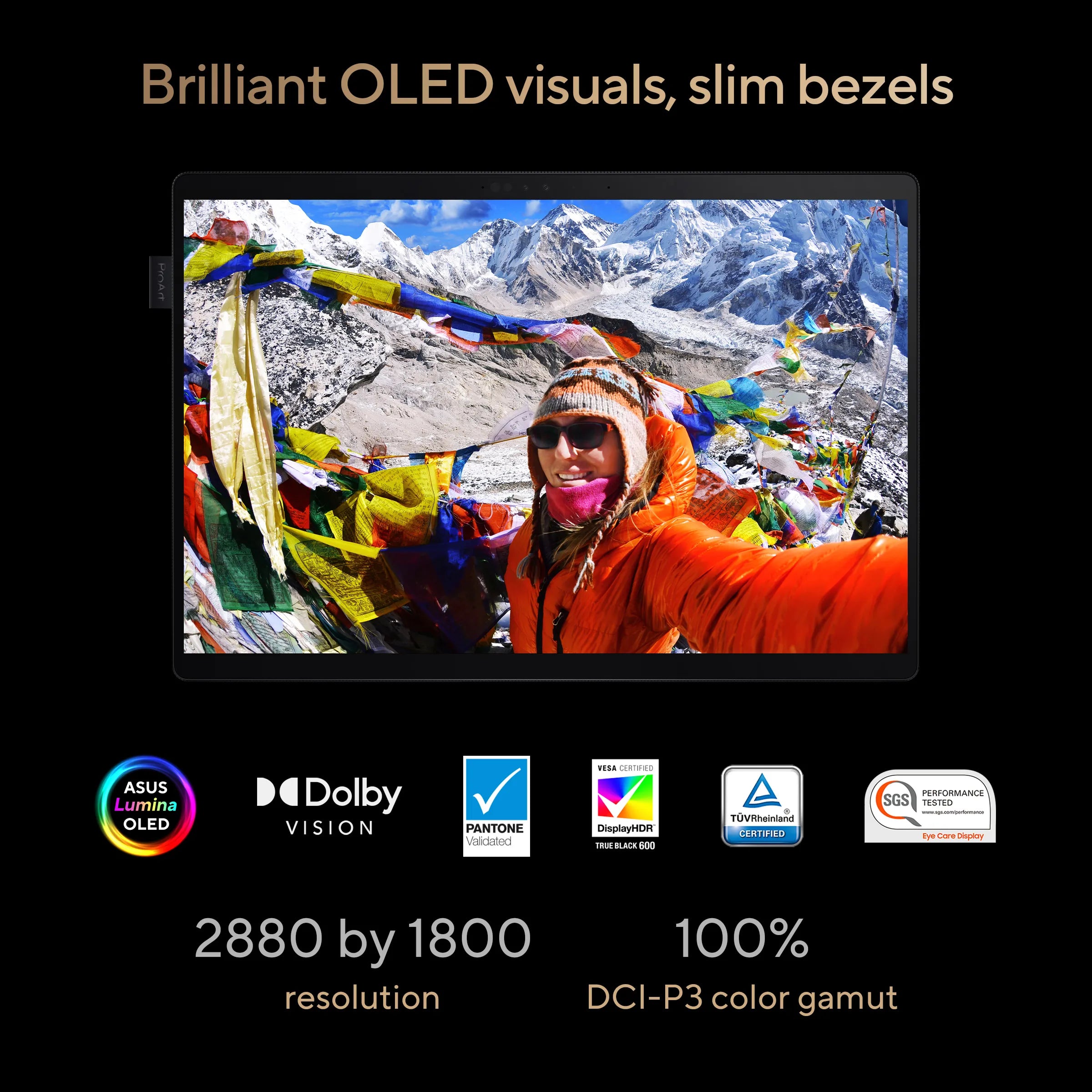 ASUS ProArt PZ13 OLED, Snapdragon X Plus X1P 42 100 Processor, Qualcomm Adreno GPU, 16GB, 1TB M.2 NVMe PCIe 4.0 SSD, 13.3" , 3K, HT5306QA-LX402WS - | Buy Online at Shwetha Computers