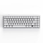 Cybeart Akula 65 | Compact 65% Tri-Mode Gaming Keyboard - White | Buy Online at Shwetha Computers