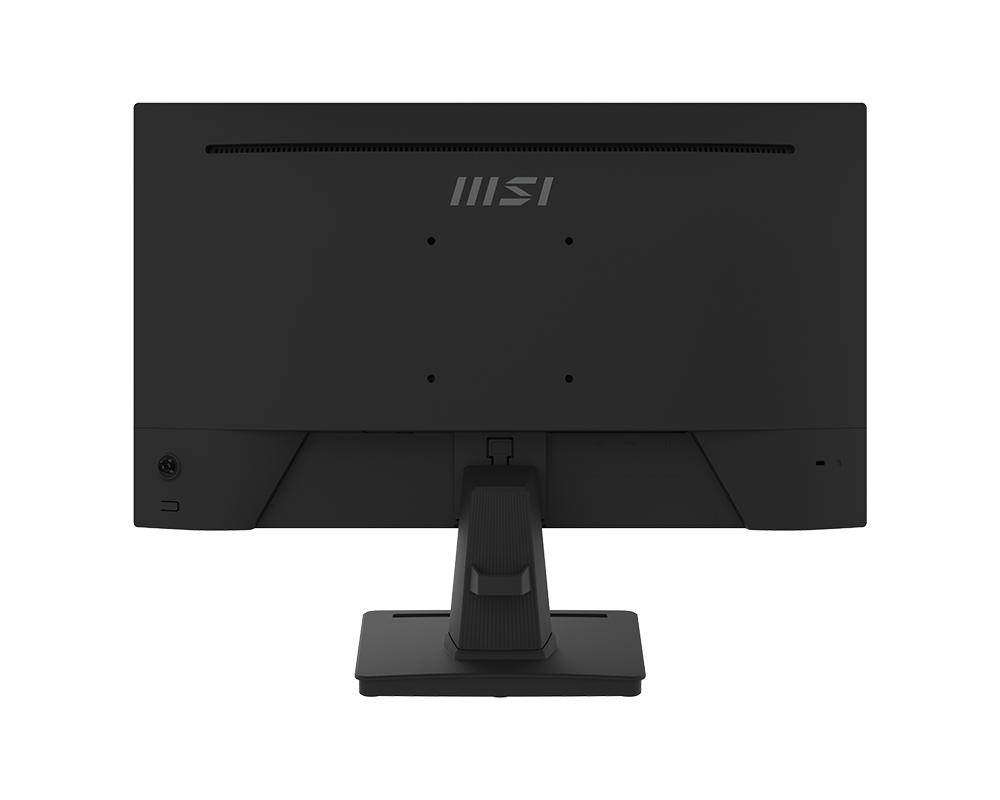 MSI PRO MP252 24.5