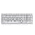 Cybeart Akula 99 | Compact Full-Size Tri-Mode Gaming Keyboard - White | Buy Online at Shwetha Computers
