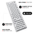 Cybeart Akula 99 | Compact Full-Size Tri-Mode Gaming Keyboard - | Buy Online at Shwetha Computers
