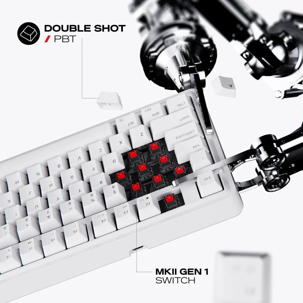 Cybeart Nighthawk 75 | TKL Tri-Mode Gaming Keyboard - | Buy Online at Shwetha Computers
