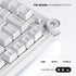 Cybeart Nighthawk 75 | TKL Tri-Mode Gaming Keyboard - | Buy Online at Shwetha Computers