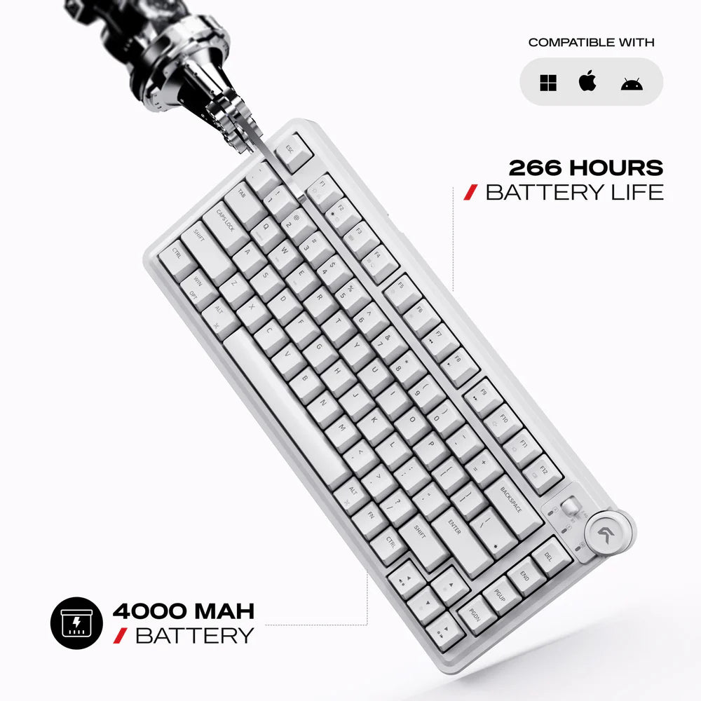 Cybeart Nighthawk 75 | TKL Tri-Mode Gaming Keyboard - | Buy Online at Shwetha Computers