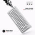 Cybeart Nighthawk 75 | TKL Tri-Mode Gaming Keyboard - | Buy Online at Shwetha Computers